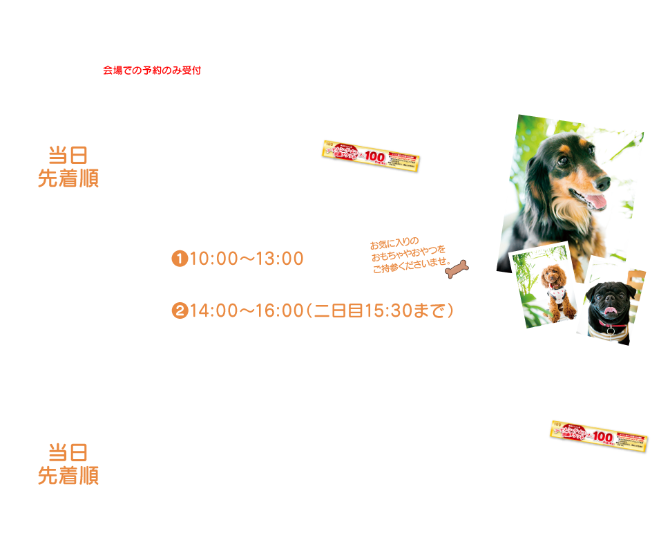もペットを暮らそうコーナー